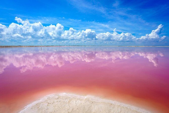Pink Lake Las Coloradas + Rio Lagartos Reserve! Transportation from Cancun - Practicalities & Tips