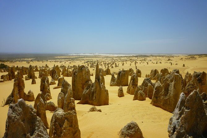 Pinnacles Desert Private Tour - The Value of the Price