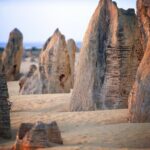 Pinnacles Desert, Yanchep and Swan Valley with Lunch - The Itinerary in Detail