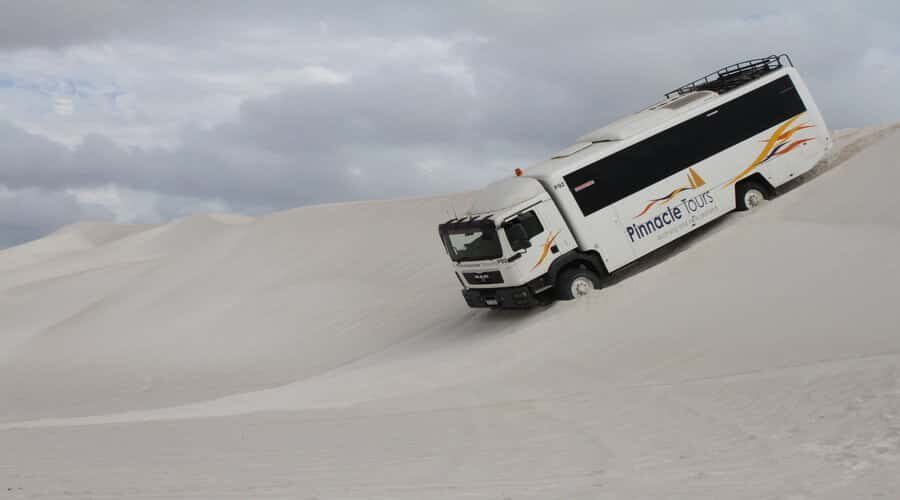 Pinnacles, Koalas & Sandboarding Tour Day Trip from Perth - Who Would Enjoy This Tour?