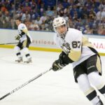 Pittsburgh Penguins Ice Hockey Game Ticket at PPG Paints Arena - Who Should Consider This?