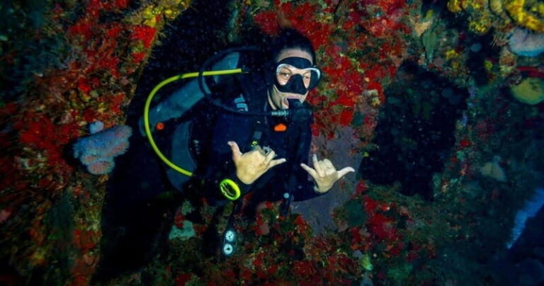 Playa del Carmen: Advanced Open Water Diver Course - The Experience: Pros and Cons