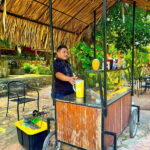 Playa del Carmen: Chichen Itza, Valladolid, Cenote & Buffet - What Travelers Say
