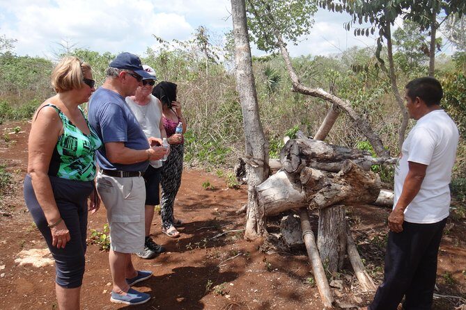 Playa del Carmen Cultural Day Tour - Evaluating the Value
