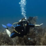Playa del Carmen: Discover Scuba Diving - The value of the experience