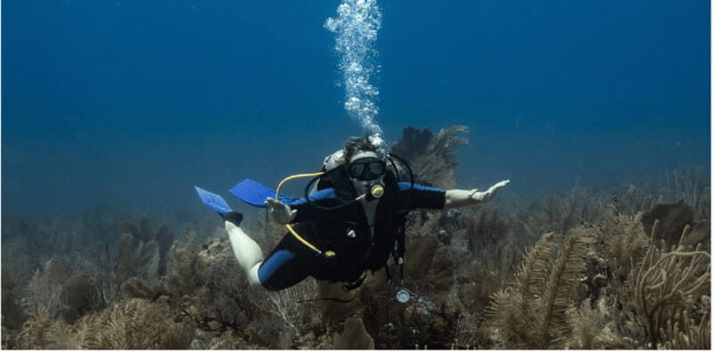 Playa del Carmen: Discover Scuba Diving - The value of the experience