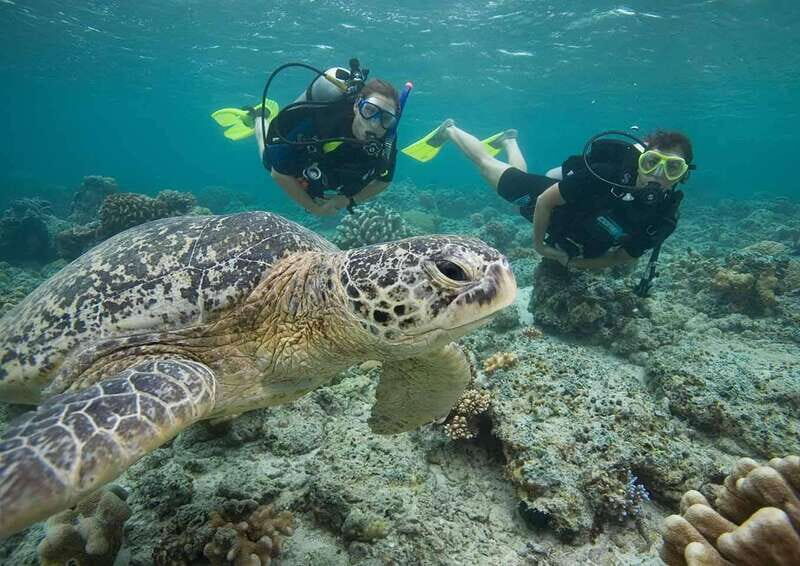 Playa del Carmen: Discover the Surreal World of Scuba Diving - Who Should Consider This Tour?