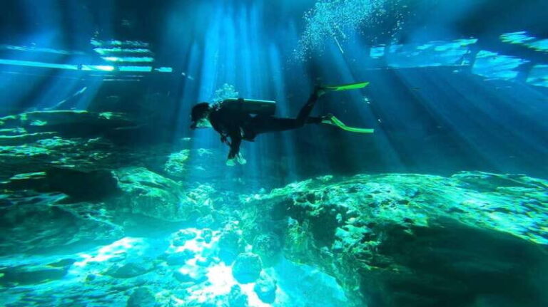 Playa del Carmen: Dos Ojos Cenote 2 scuba dives without tran - How the Tour Is Structured