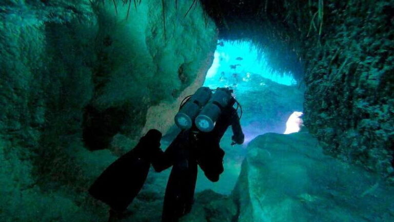 Playa del Carmen: Dual Realm Diving (Cenote + Reef Diving) - Why Tour Price Offers Good Value
