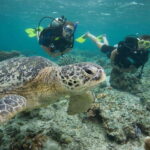 Playa del Carmen: Extreme Cozumel Diving by Speed Boat - Key Points