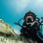 Playa del Carmen: Guided Reef Diving for Certified Divers - Exploring the Experience in Depth