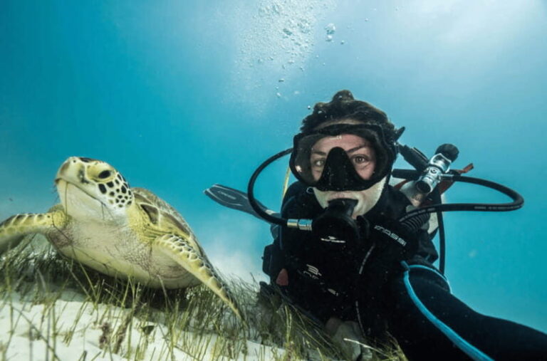 Playa del Carmen: Guided Reef Diving for Certified Divers - Exploring the Experience in Depth