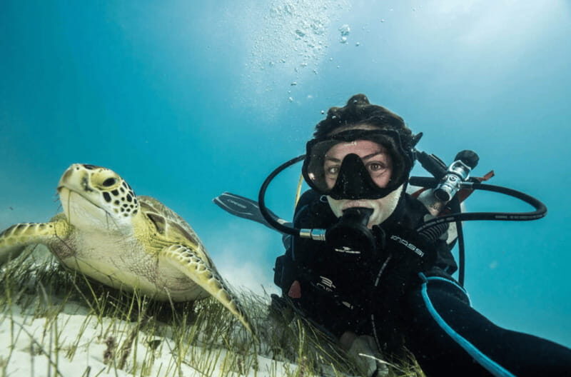 Playa del Carmen: Guided Reef Diving for Certified Divers - Exploring the Experience in Depth