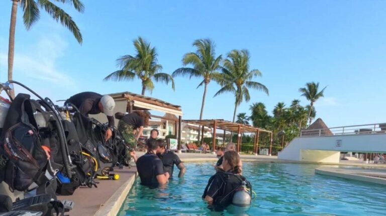 Playa del Carmen: Introductory Scuba Diving at Coral Reefs - Who Would Love This Tour?