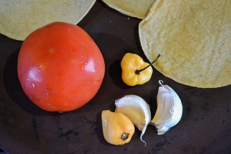 Playa del Carmen: Isas Authentic Mexican Cooking Class - Practical Details and Logistics