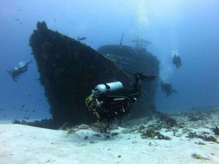 Playa del Carmen: MamaViña Wreck & Reef for Certified Divers - An Honest Look at the Mama Viña Wreck & Reef Tour