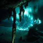 Playa del Carmen: Mind-Blowing Diving at Cenote Dos Ojos - The Itinerary: What You Can Expect