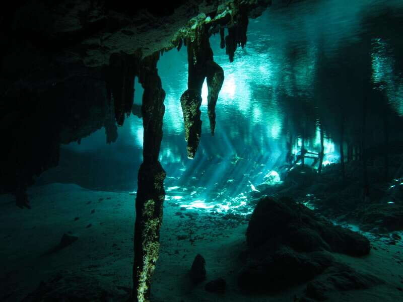 Playa del Carmen: Mind-Blowing Diving at Cenote Dos Ojos - The Itinerary: What You Can Expect