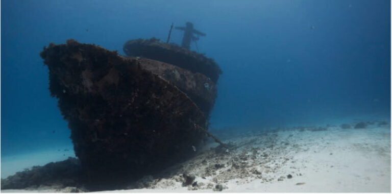 Playa del Carmen: Ocean Dive Tour - What To Expect from This Tour