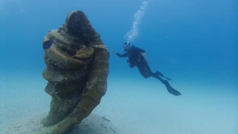 Playa del Carmen: Open Water Course - Who Is This Course Best For?