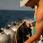 Playa del Carmen: Refresher Dive - The Real Value of the Playa del Carmen Refresher Dive