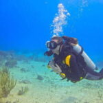 Playa del Carmen: SSI Open Water Course - An Overview of the Experience