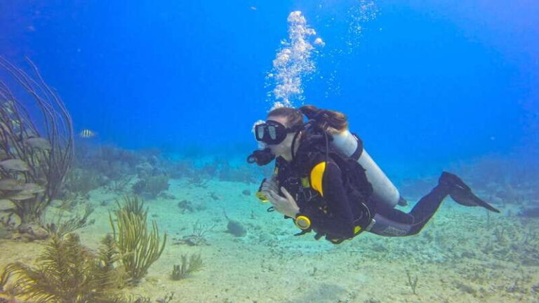 Playa del Carmen: SSI Open Water Course - An Overview of the Experience