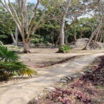 Playa del Carmen: Tour to Chichén Itzá and Valladolid - The Breakdown of the Itinerary