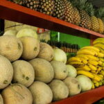 Playa del Carmen: Vegan Food Walking Tour - Why This Tour Works Well for Travelers