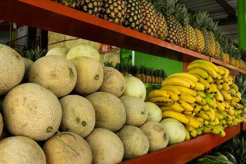 Playa del Carmen: Vegan Food Walking Tour - Why This Tour Works Well for Travelers