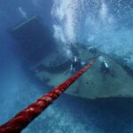 Playa del Carmen: Wreck Dive Mama Viña - The Itinerary Breakdown