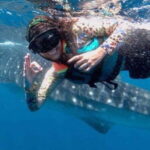 Playa del Carmen:Whale shark Experience in the Caribbean Sea - Is It Worth the Price?