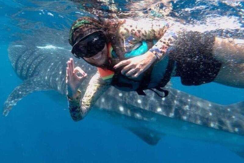 Playa del Carmen:Whale shark Experience in the Caribbean Sea - Is It Worth the Price?