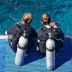 Playa: Night Dive - Price and Value