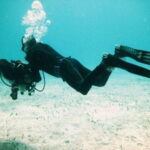 Playa: Rescue Diver - Who Should Sign Up?