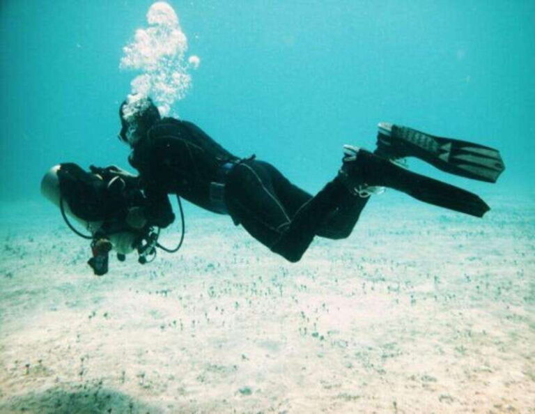 Playa: Rescue Diver - Who Should Sign Up?