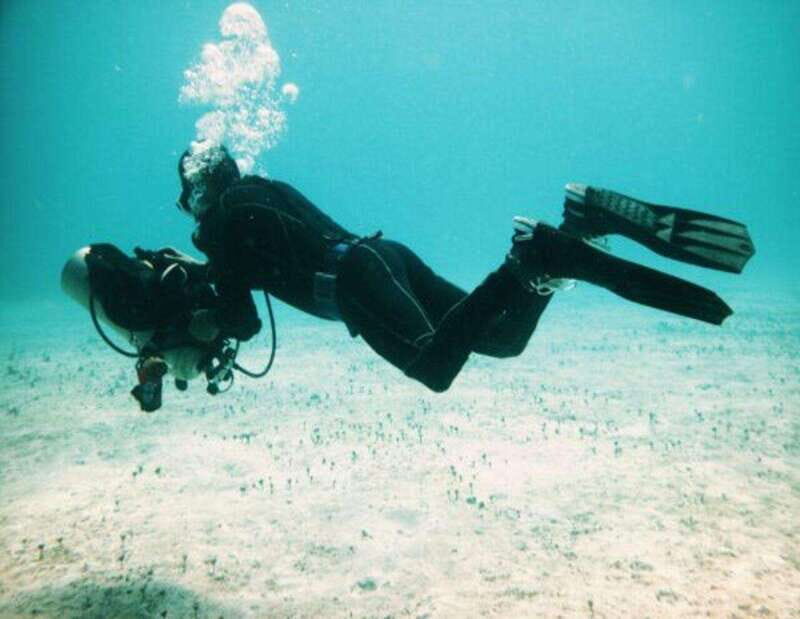 Playa: Rescue Diver - Who Should Sign Up?