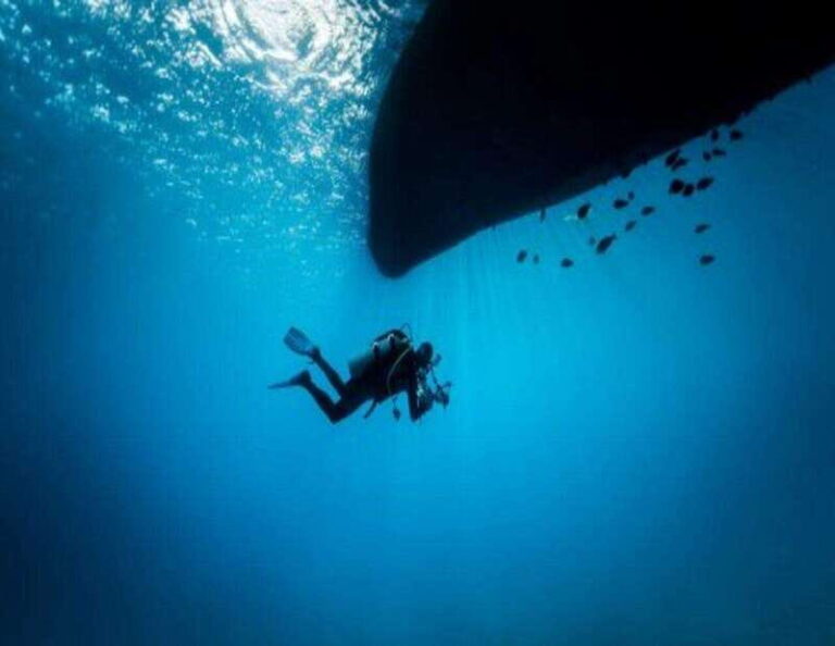 Playa: Wreck Dive - Who is this tour best suited for?