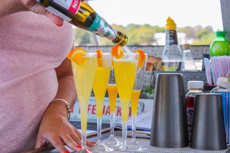 Plymouth: 2-Hour Party Cruise with Drinks and Music - The Views and the Harbor