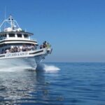 Plymouth: Whale Watching Cruise - The Whale Watching Itinerary