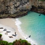 Point Lobos - A Private Charming Ocean Tour - Who Is This Tour Best For?