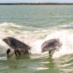 Pontoon Boat Rental Crystal River - The Meeting Point & Flexibility