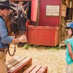 Pony Rides For Kids - Exploring the Experience in Detail