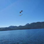 Port Alice: Sea Otter and Wildlife Watching Boat Tour - Final thoughts