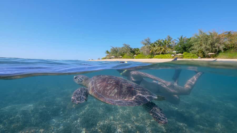 Port Douglas: Low Isles Glass Bottom Boat & Snorkeling Tour - The Itinerary: What to Expect