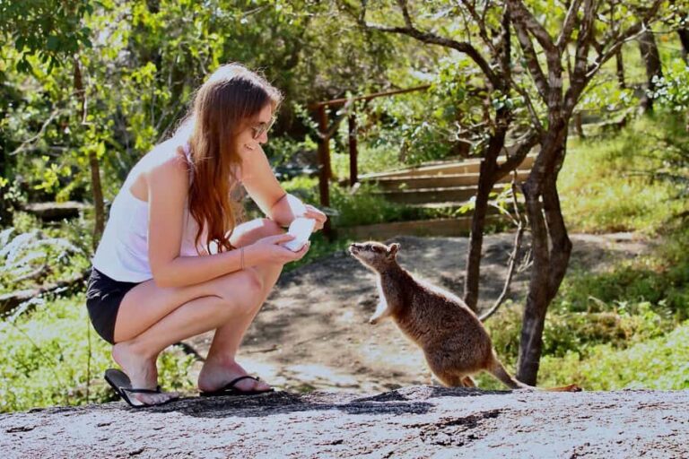 Port Douglas : Private Guide WILDLIFE Safari - The Educational and Conservation Focus