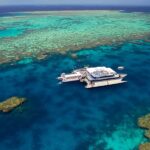Port Douglas: Quicksilver Outer Barrier Reef Full-Day Cruise - What Makes the Reef Experience Special?