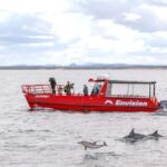 Port Stephens: 1hr Dolphin Watch Express - The Scenic Stops and Highlights
