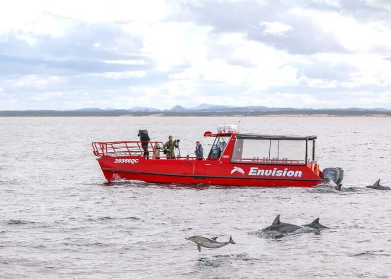 Port Stephens: 1hr Dolphin Watch Express - The Scenic Stops and Highlights
