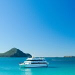 Port Stephens: Dolphin Discovery Cruise - Final Thoughts: Is It Worth It?